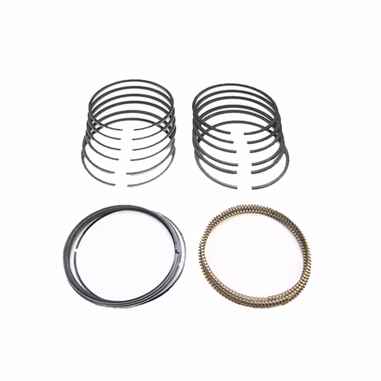 Vehicle Engine Part 6D22 Piston Ring for Mitsubishi Competitive Price and High Quality Customized Standard