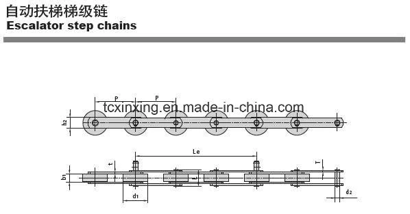 Driving Rotary Chains for Conveyor