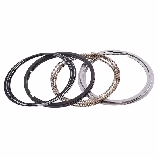 Vehicle Engine Part 6D22 Piston Ring for Mitsubishi Competitive Price and High Quality Customized Standard