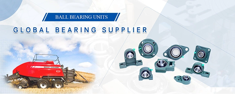 Blue Color Plastic Insert Bearing Plucp217 Plastic Pillow Block Bearing From China